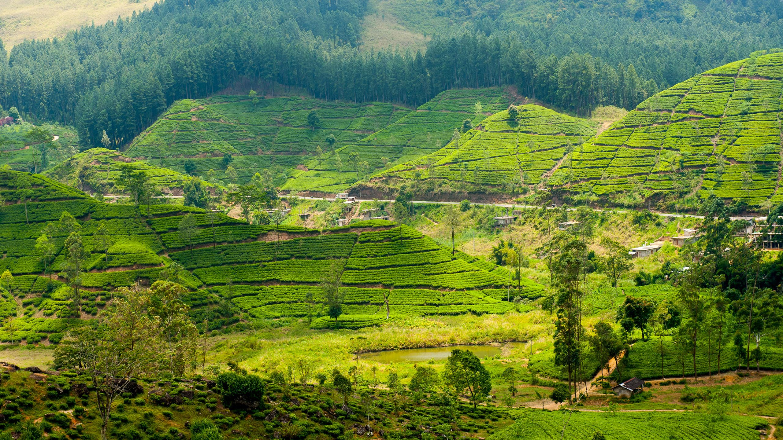 DISCOVER GOD'S OWN COUNTRY