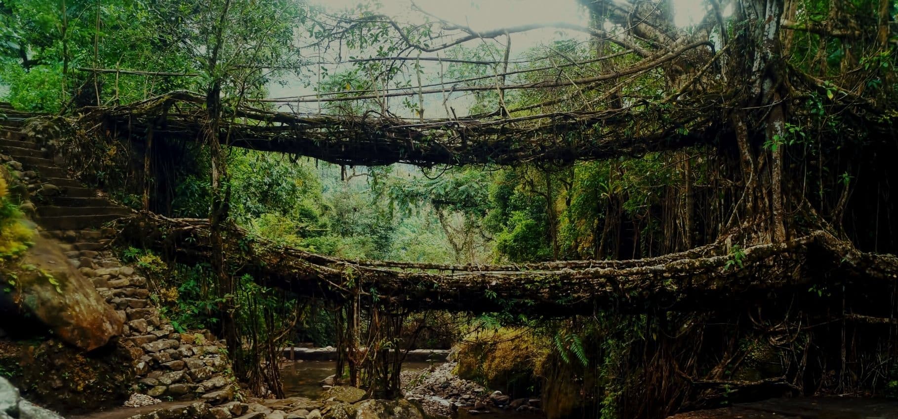 3-Night Luxury Expedition Camping at the Hornbill Festival gates